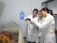 Salt Spray Test Chamber