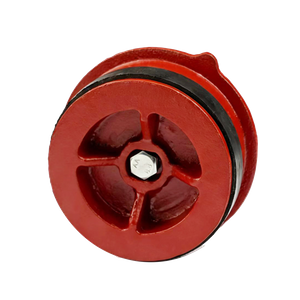 Expansion Plug