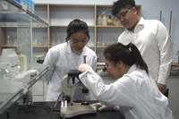 Metallurgical Microscope